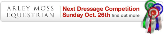 Dressage Competition