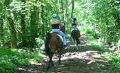 Arley Estate Ride