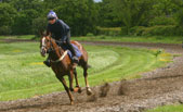 6 Furlong Gallops