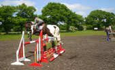 Show Jumping