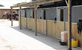 New livery stables
